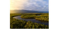 Hi-tech monitoring and carbon offsets for rainforests could be the big post-COP26 gain